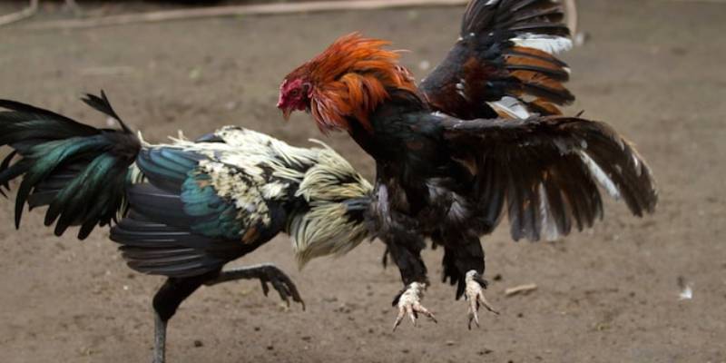 Nạp tiền vào tài khoản