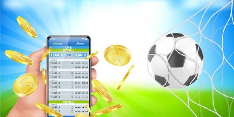 Tuân thủ nghiêm ngặt pháp luật