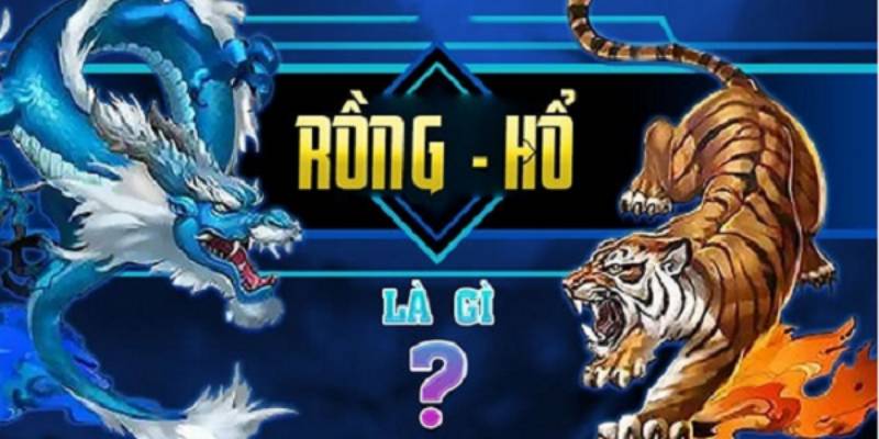 Rồng Hổ Zowin là gì?